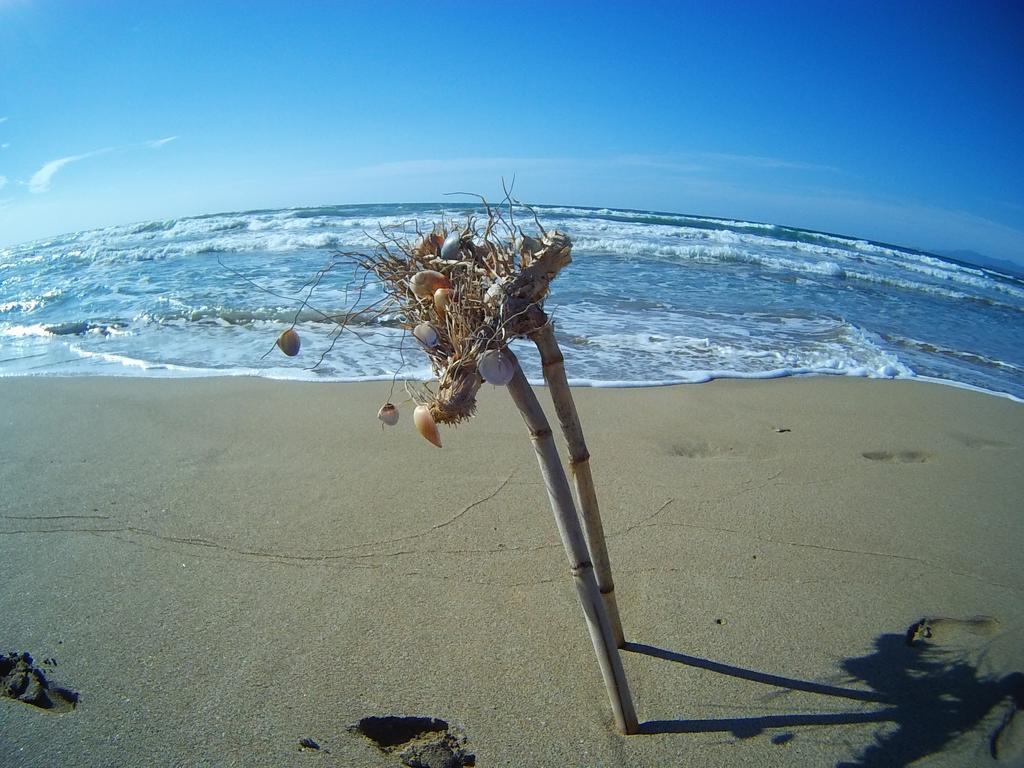 Hébergement de vacances Near The Sea *