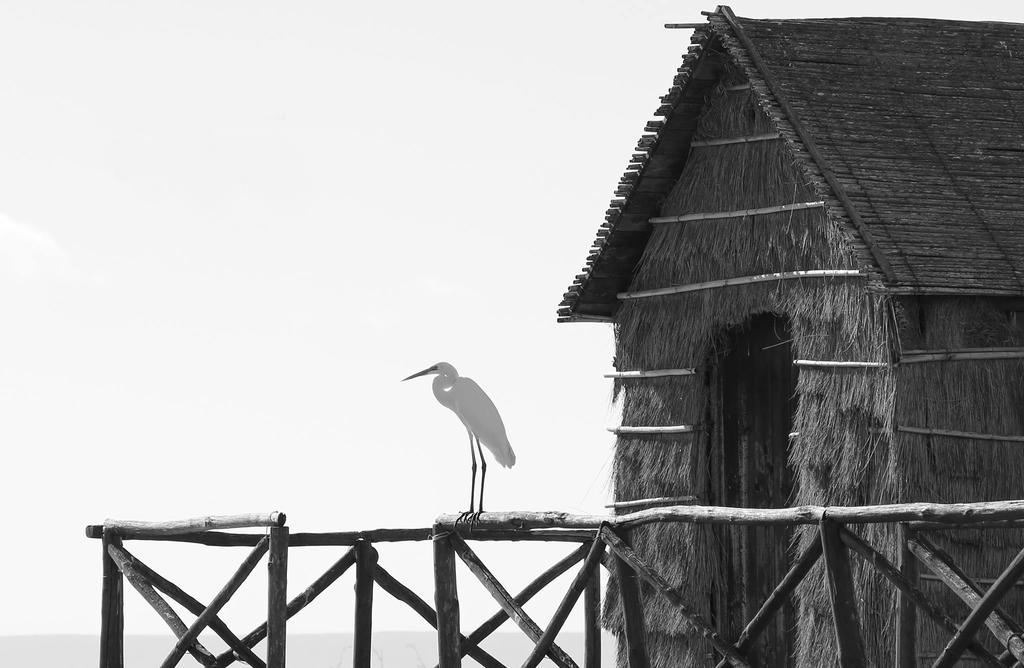 Near The Sea